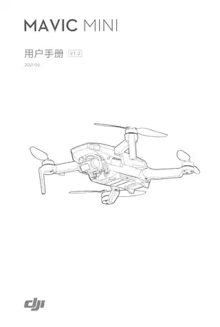 DJI大疆御 Mavic Mini
